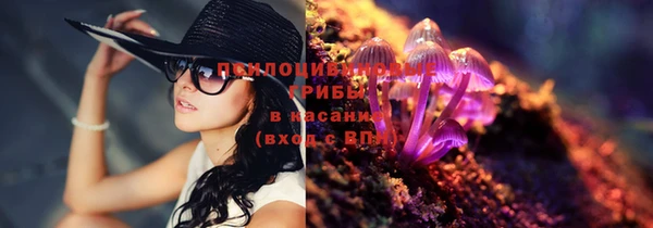 бутират Верхний Тагил