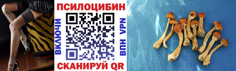 Псилоцибиновые грибы Cubensis Нижний Новгород